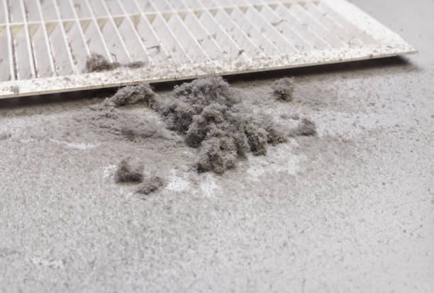 Best Dryer Vent Cleaning Services  in Honolulu, HI