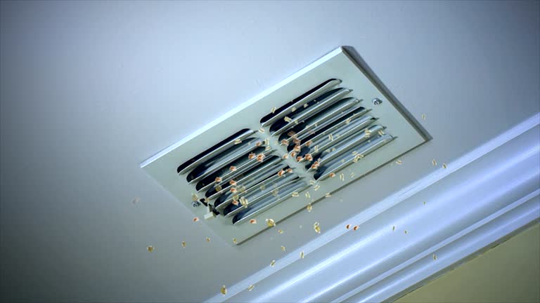 Best Affordable Duct Cleaning Services  in Honolulu, HI