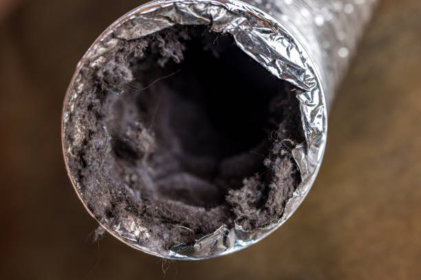 Trusted HI Airduct Cleaning Experts