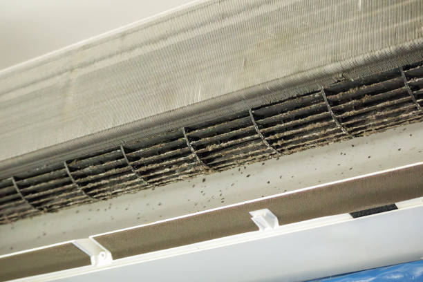 Best Air Duct Inspection  in Honolulu, HI