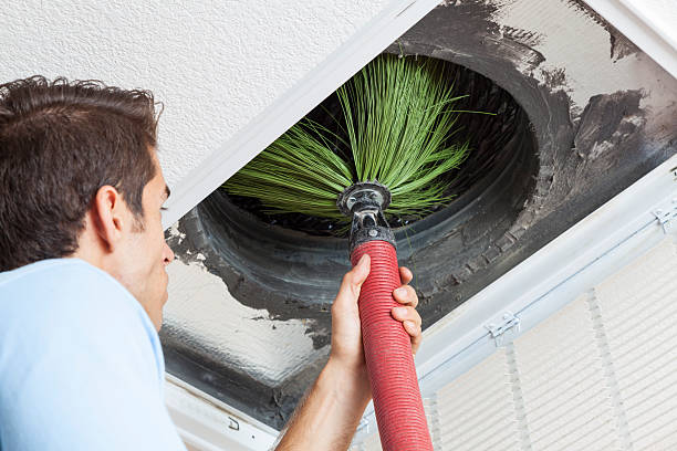 Best Affordable Air Duct Cleaning  in Honolulu, HI